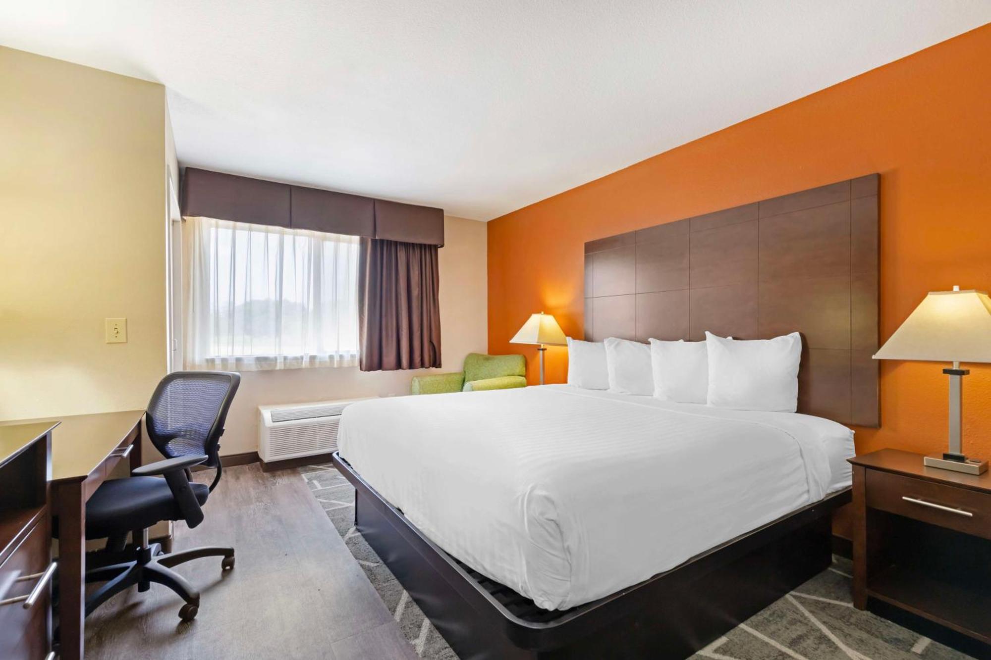 Best Western Inn & Suites New Braunfels Extérieur photo